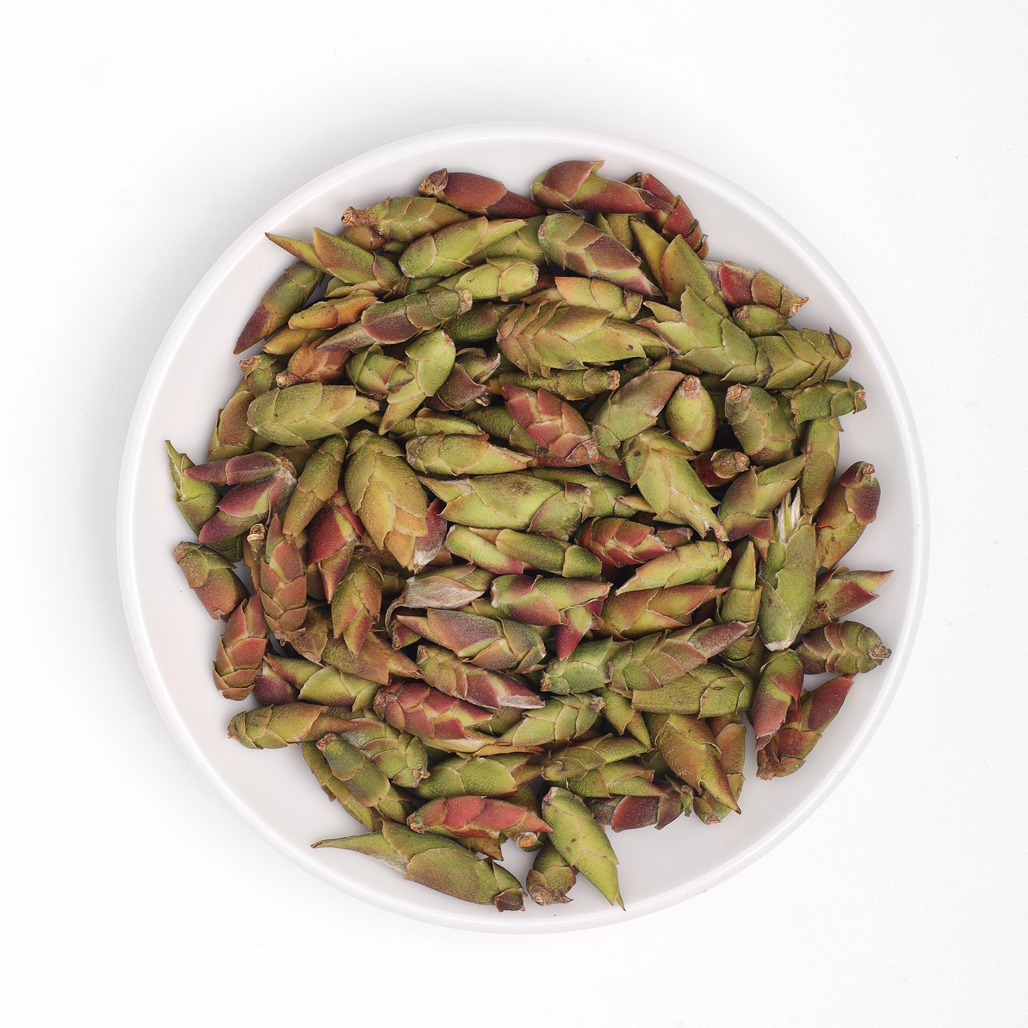 Trà Móng Rồng | Trà Rừng Cổ Thụ